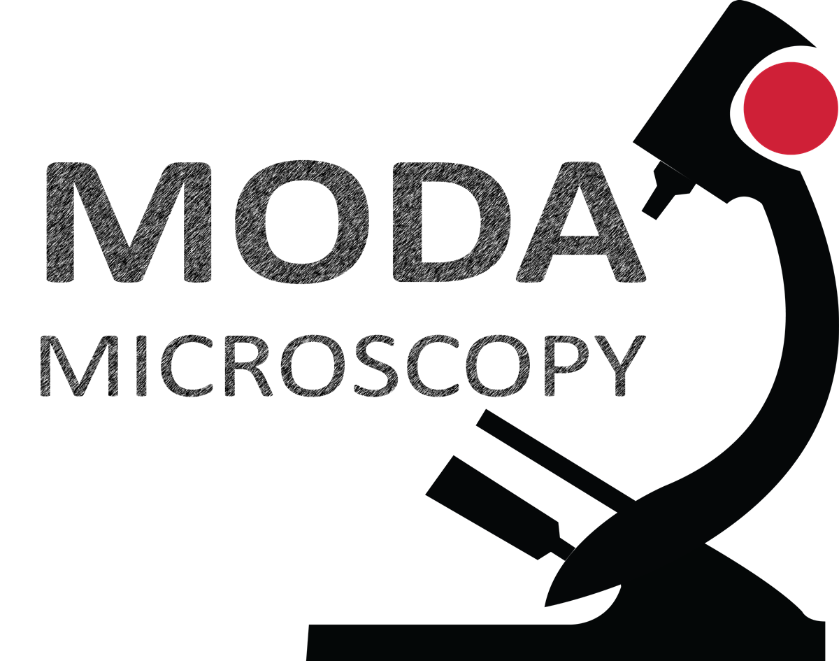 Logo-Design von Nandakumar für dieses Projekt | Design #1259547