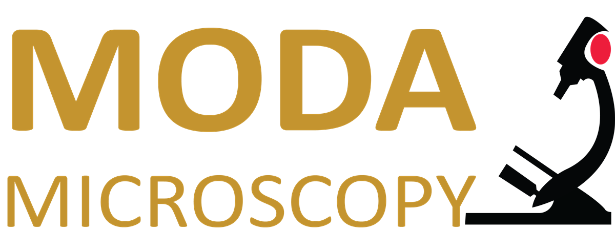 Logo-Design von Nandakumar für dieses Projekt | Design #1259590