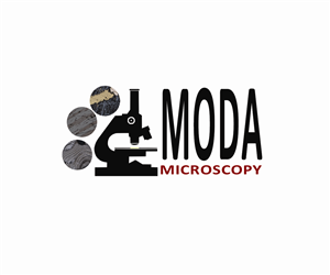 Logo Design by Sean Parnell for this project | Design #1261034
