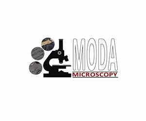 Logo Design by Sean Parnell for this project | Design: #1261040