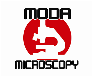 Logo Design by Missing Link Design