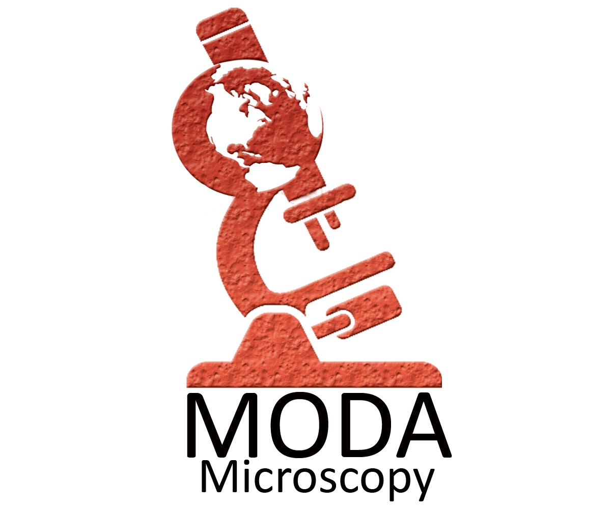Logo Design by Dilan for this project | Design #1251542