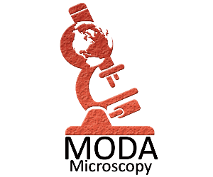 Logo Design by Dilan for this project | Design #1251542
