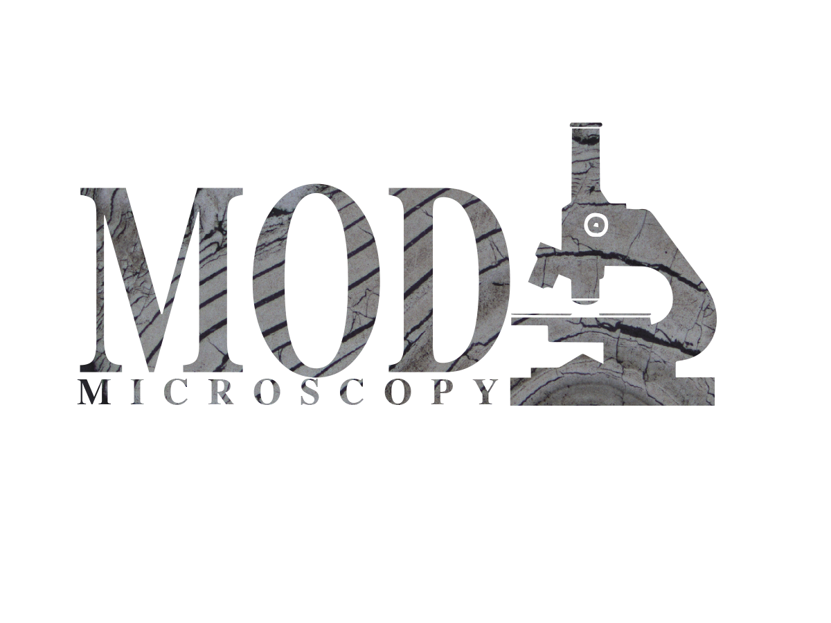 Logo Design by stijnbakk for this project | Design #1254023