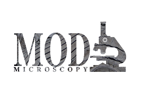 Logo Design by stijnbakk for this project | Design #1254023