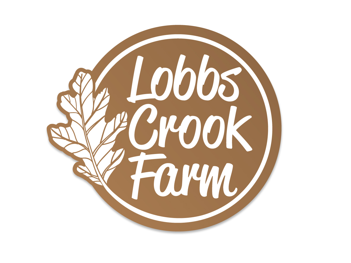 Logo Design by Texel for this project | Design #4352110