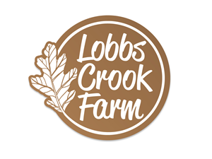 Logo Design by Texel