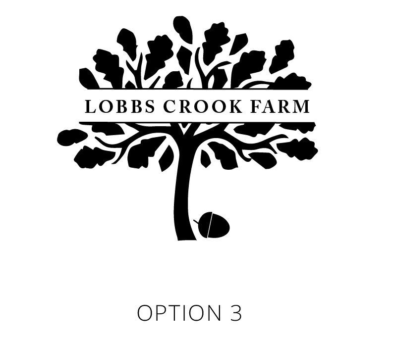 Diseño de Logo por AlliLady para este proyecto | Diseño #4375132