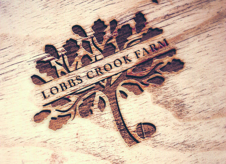 Logo Design by AlliLady for this project | Design #4375168