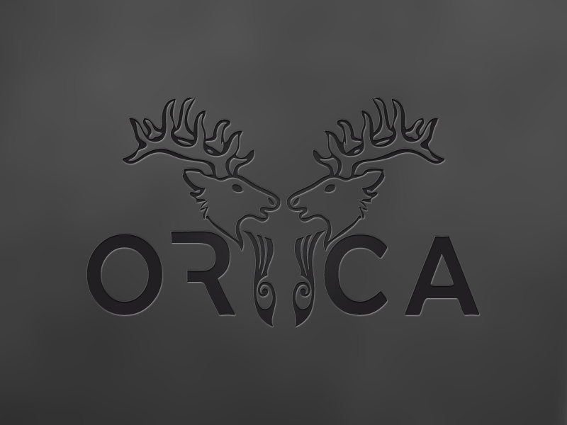 Logo Design by pratdesigns for this project | Design #1255305