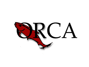 Logo Design by anis