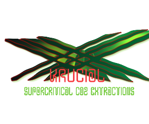 Logo Design by yunuskaradeniz87 for MindHive Design | Design: #4338069