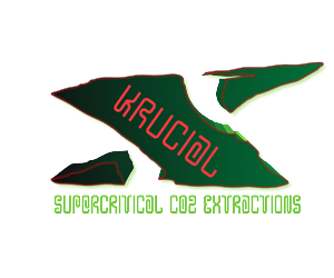 Logo Design by yunuskaradeniz87 for MindHive Design | Design: #4338156