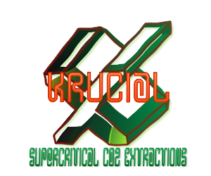 Logo Design by yunuskaradeniz87 for MindHive Design | Design: #4338206