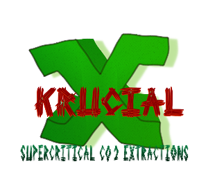 Logo Design by yunuskaradeniz87 for MindHive Design | Design: #4338413