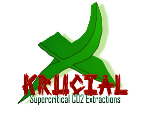 Logo Design by yunuskaradeniz87 for MindHive Design | Design: #4338448