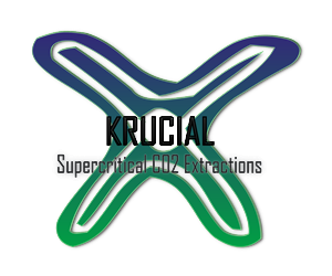 Logo Design by yunuskaradeniz87 for MindHive Design | Design: #4338689