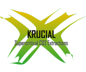 Logo Design by yunuskaradeniz87 for MindHive Design | Design: #4338702