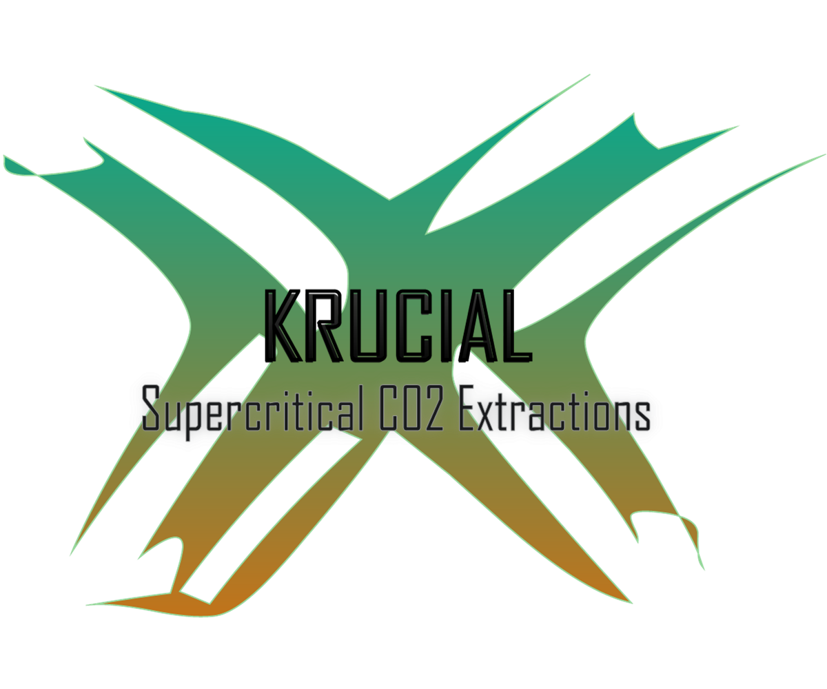 Logo Design by yunuskaradeniz87 for MindHive Design | Design #4338714