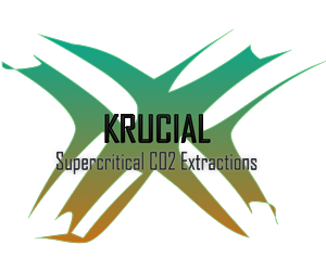 Logo Design by yunuskaradeniz87 for MindHive Design | Design: #4338714