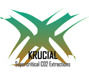 Logo Design by yunuskaradeniz87 for MindHive Design | Design: #4338723