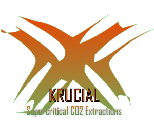 Logo Design by yunuskaradeniz87 for MindHive Design | Design: #4338751