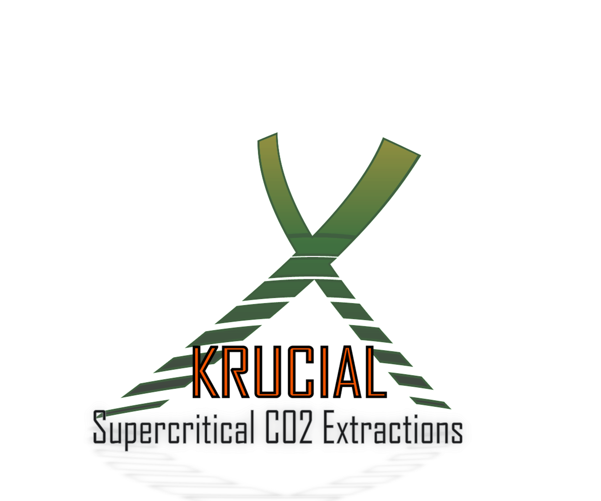 Logo Design by yunuskaradeniz87 for MindHive Design | Design #4338842