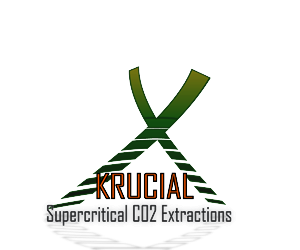 Logo Design by yunuskaradeniz87 for MindHive Design | Design: #4338842