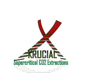 Logo Design by yunuskaradeniz87 for MindHive Design | Design: #4338938