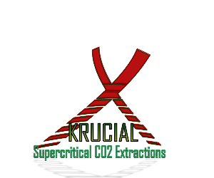 Logo Design by yunuskaradeniz87 for MindHive Design | Design: #4338944