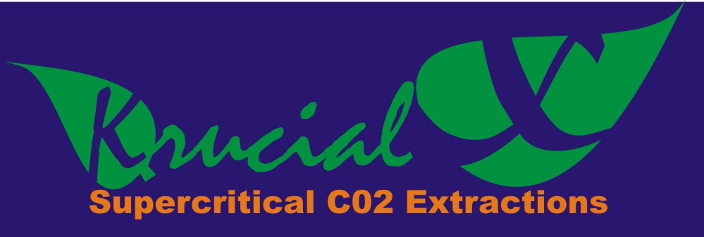 Logo Design by sepriarif55 for MindHive Design | Design #4336568