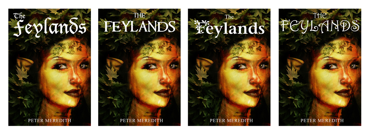 Book Cover Design by Diogo Landô for Peter Meredith | Design #1243934