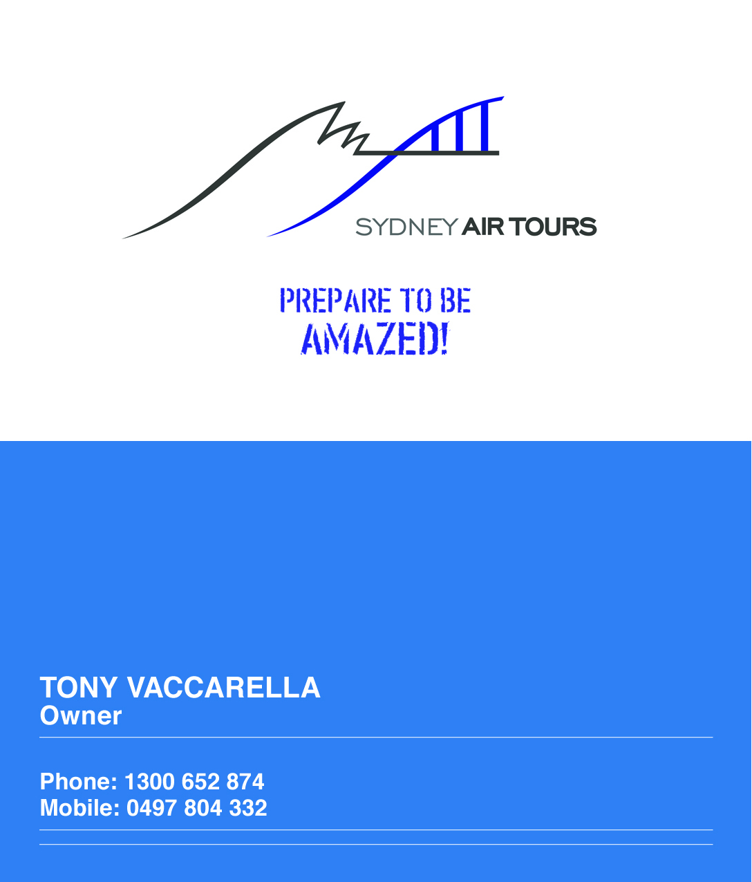 Business Card Design by jrbabcede for Sydney Air Tours | Design #4358387