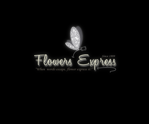 Logo-Design von GraphicSolver für dieses Projekt | Design: #1302379