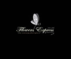 Logo-Design von GraphicSolver für dieses Projekt | Design: #1302382