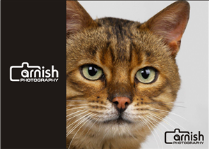 Arnish Photography | Logo Design by Arham Hidayat