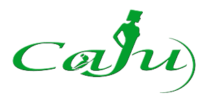 Logo Design by Suz for Caju Company | Design: #1262533
