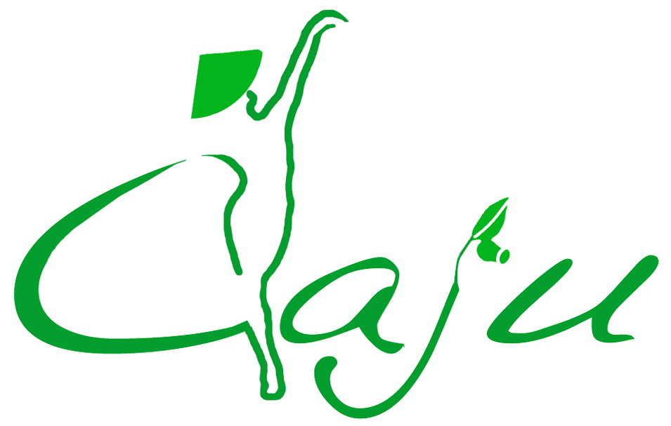 Logo Design by Suz for Caju Company | Design #1263780