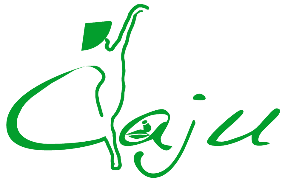 Logo Design by Suz for Caju Company | Design #1263801
