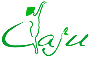 Logo Design by Suz for Caju Company | Design #1263804