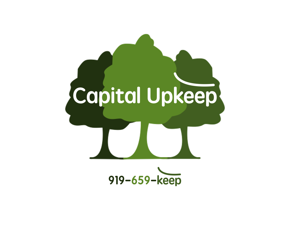 Design Graphique par Anna Lenkiewicz pour Capital UpKeep LLC | Design #4461743