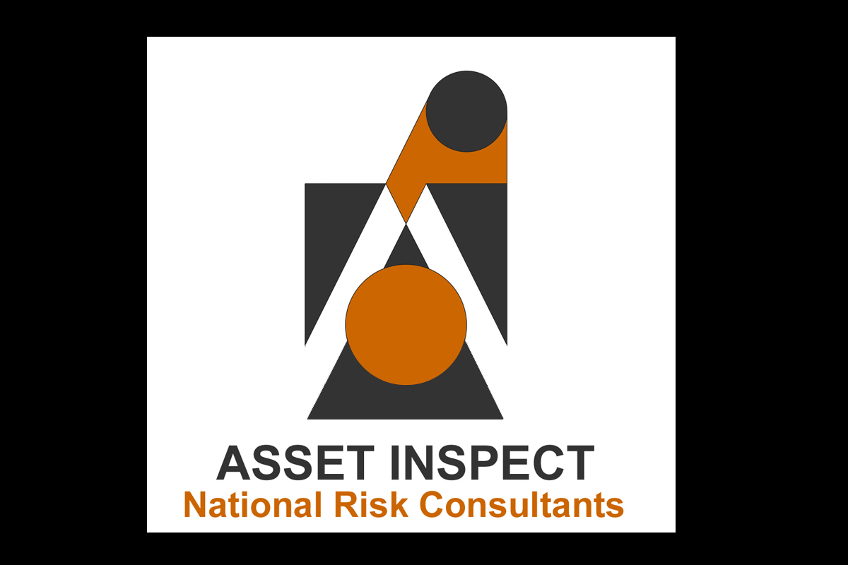 Logo Design by arielle&jared for Asset Inspect | Design #1254784