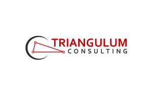 Logo Design by ergo™