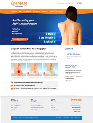 Web Design by Mayank Patel for Blue Egg | Design: #1325405