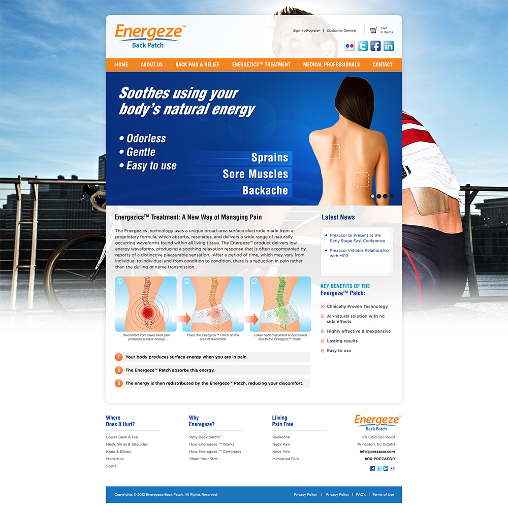 Web Design by Mayank Patel for Blue Egg | Design #1325416