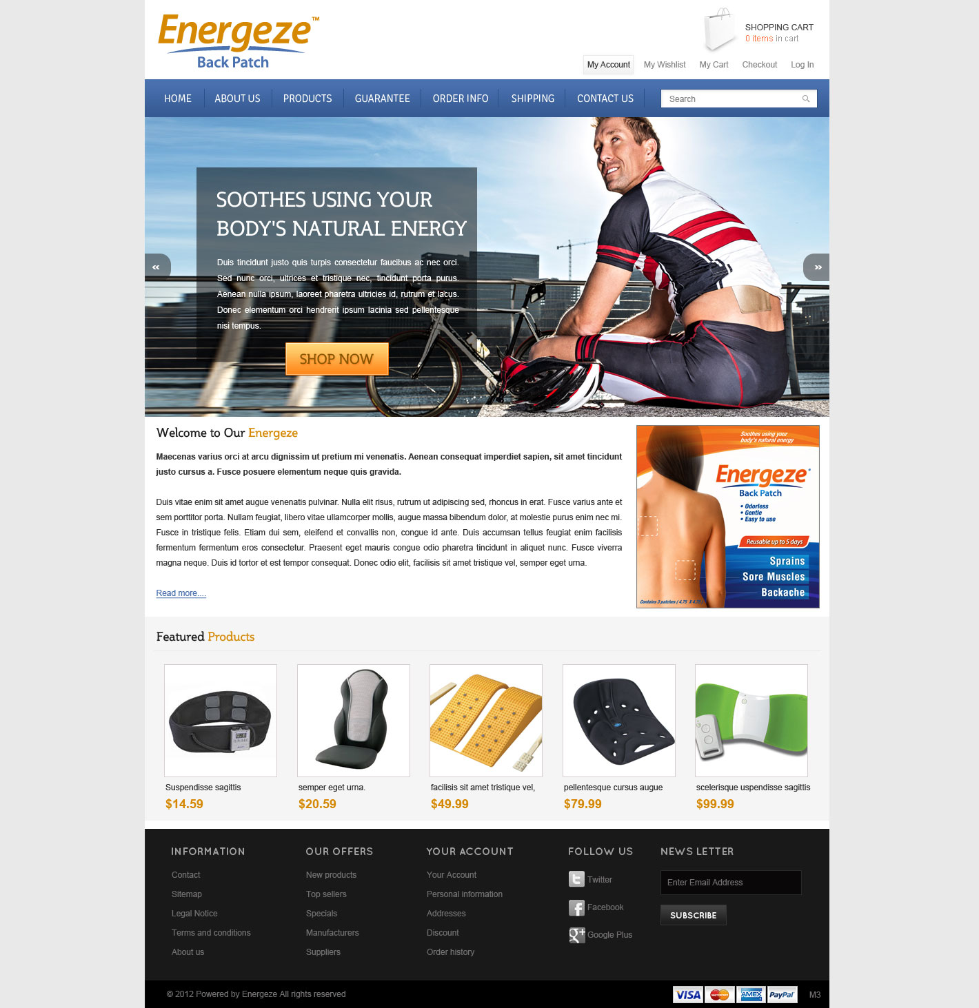 Web Design by pb for Blue Egg | Design #1322596