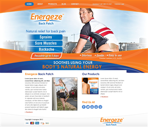 Web Design by TechWise for Blue Egg | Design: #1329026