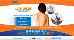 Web Design by TechWise for Blue Egg | Design #1329028