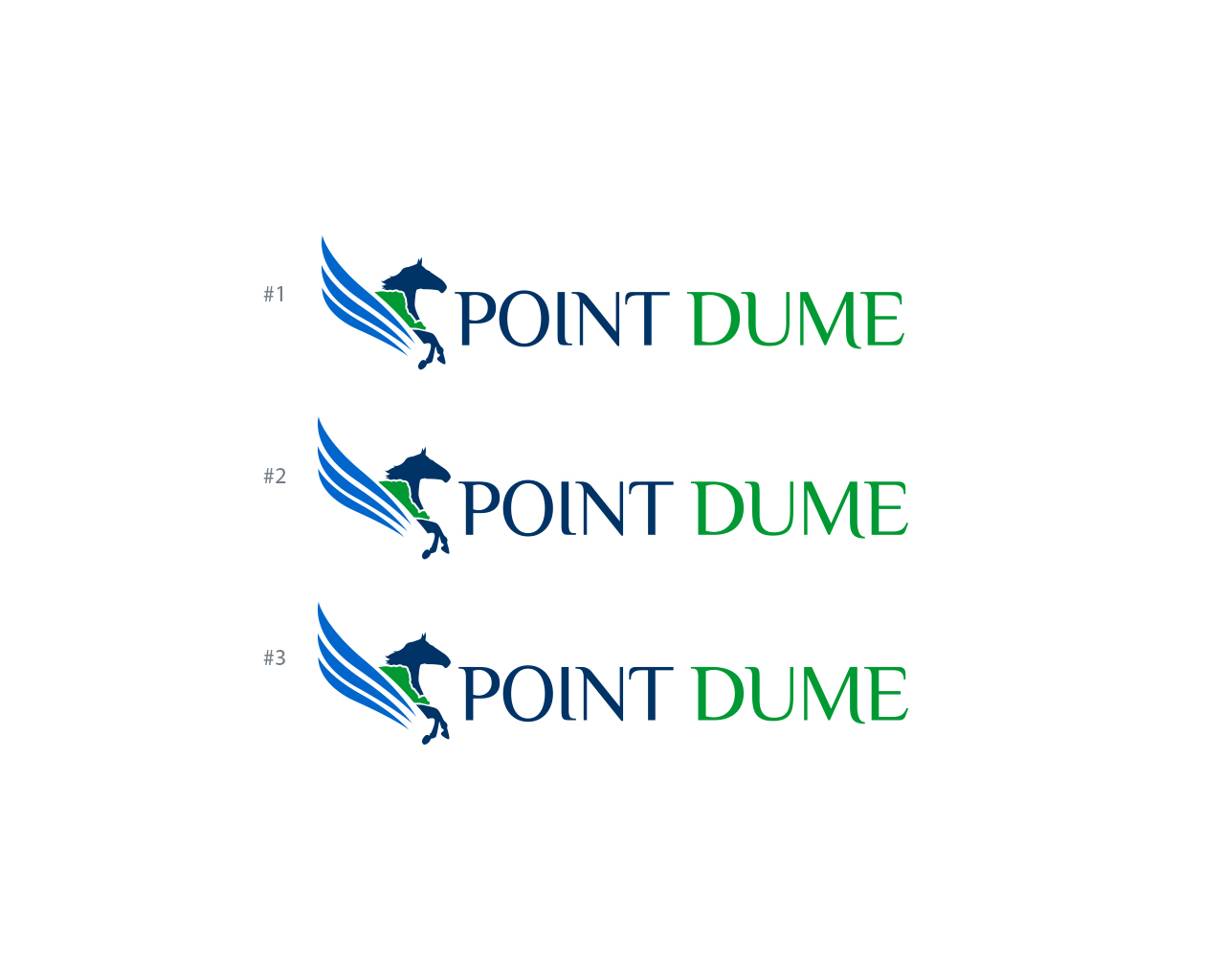 Design de Logo par damakyjr pour Point Dume Limited | Design #4398111