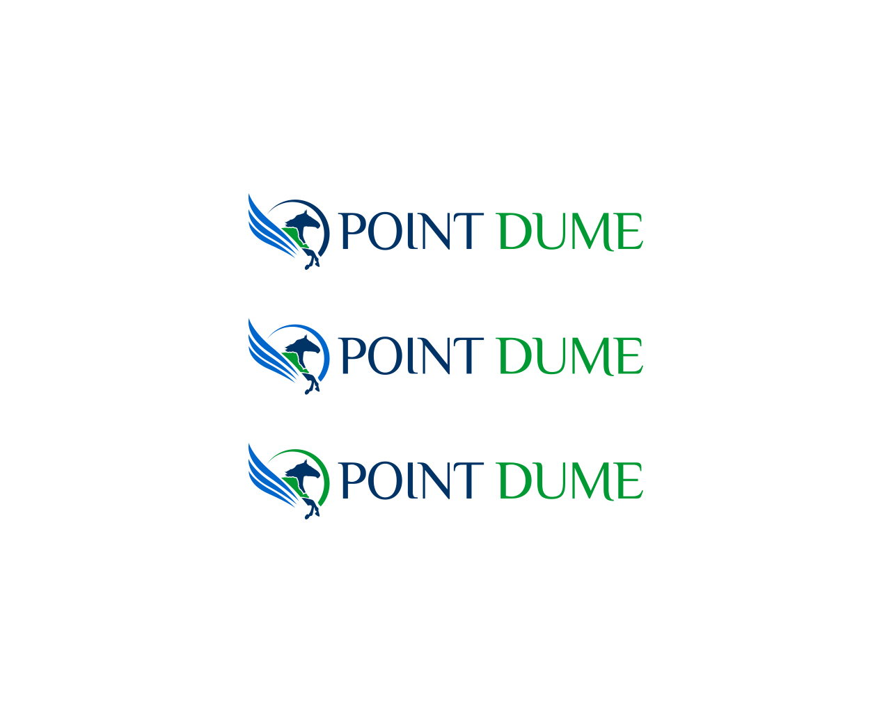 Design de Logo par damakyjr pour Point Dume Limited | Design #4398873